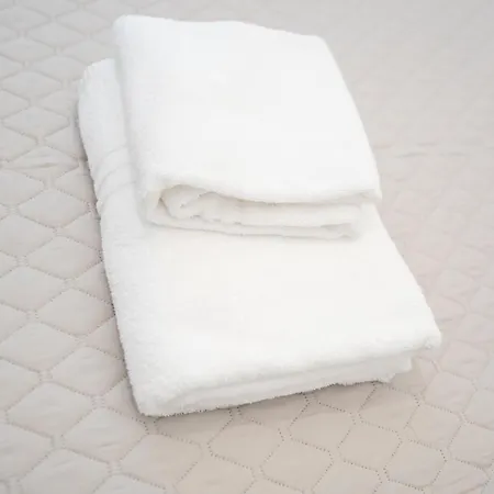 ベッド・アンド・ブレックファスト Principe Amedeo 93 3*